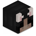 Skin minecraft