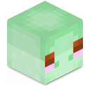 Skin minecraft