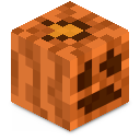 Skin minecraft