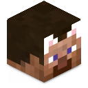 Skin minecraft