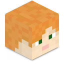 Skin minecraft