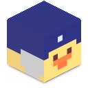 Skin minecraft