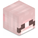Skin minecraft