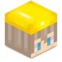 Skin minecraft