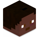 Skin minecraft