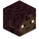 Skin minecraft