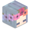 Skin minecraft