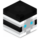 Skin minecraft