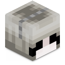 Skin minecraft