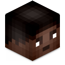 Skin minecraft