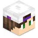 Skin minecraft