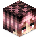 Skin minecraft