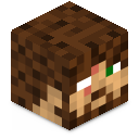 Skin minecraft