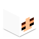 Skin minecraft
