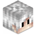 Skin minecraft