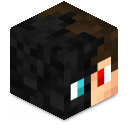 Skin minecraft
