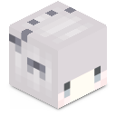 Skin minecraft