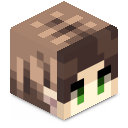 Skin minecraft