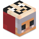 Skin minecraft