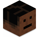 Skin minecraft
