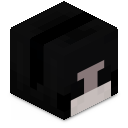Skin minecraft