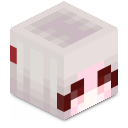 Skin minecraft