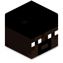 Skin minecraft