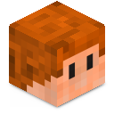 Skin minecraft