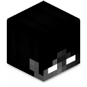 Skin minecraft