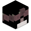 Skin minecraft
