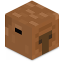 Skin minecraft