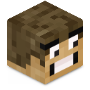 Skin minecraft