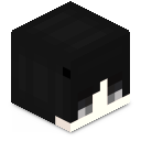 Skin minecraft