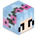 Skin minecraft