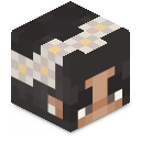 Skin minecraft