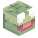 Skin minecraft