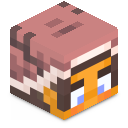 Skin minecraft