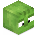Skin minecraft