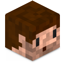 Skin minecraft