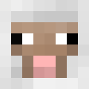 fachep__