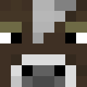 GjermundSS