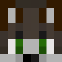 nsaan