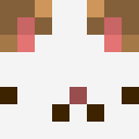 Kopus_