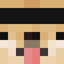 Neerv