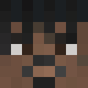 HiddenTesla