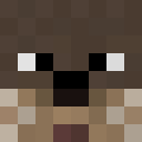 otter_501