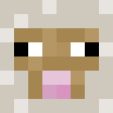 RayZ009