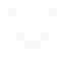 THE_KILLED