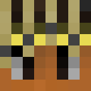 SlimSheli
