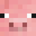 KenzoThePig